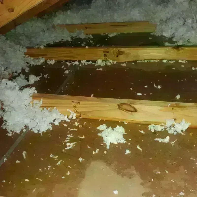 Attic Water Damage in North College Hill, OH